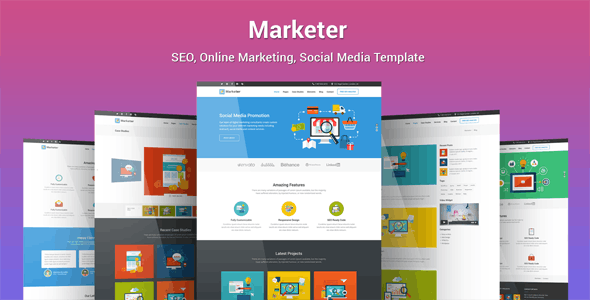 Marketer v1.2.6 - SEO, Online Marketing, Social Media WordPress Theme