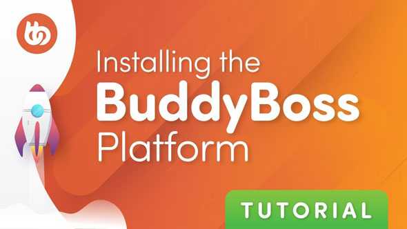 BuddyBoss Platform v1.2.8 + BuddyBoss Theme v1.3.8