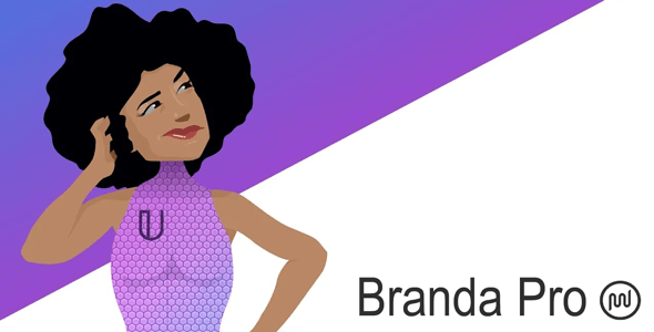 Branda Pro v3.3.0 – WordPress white label branding